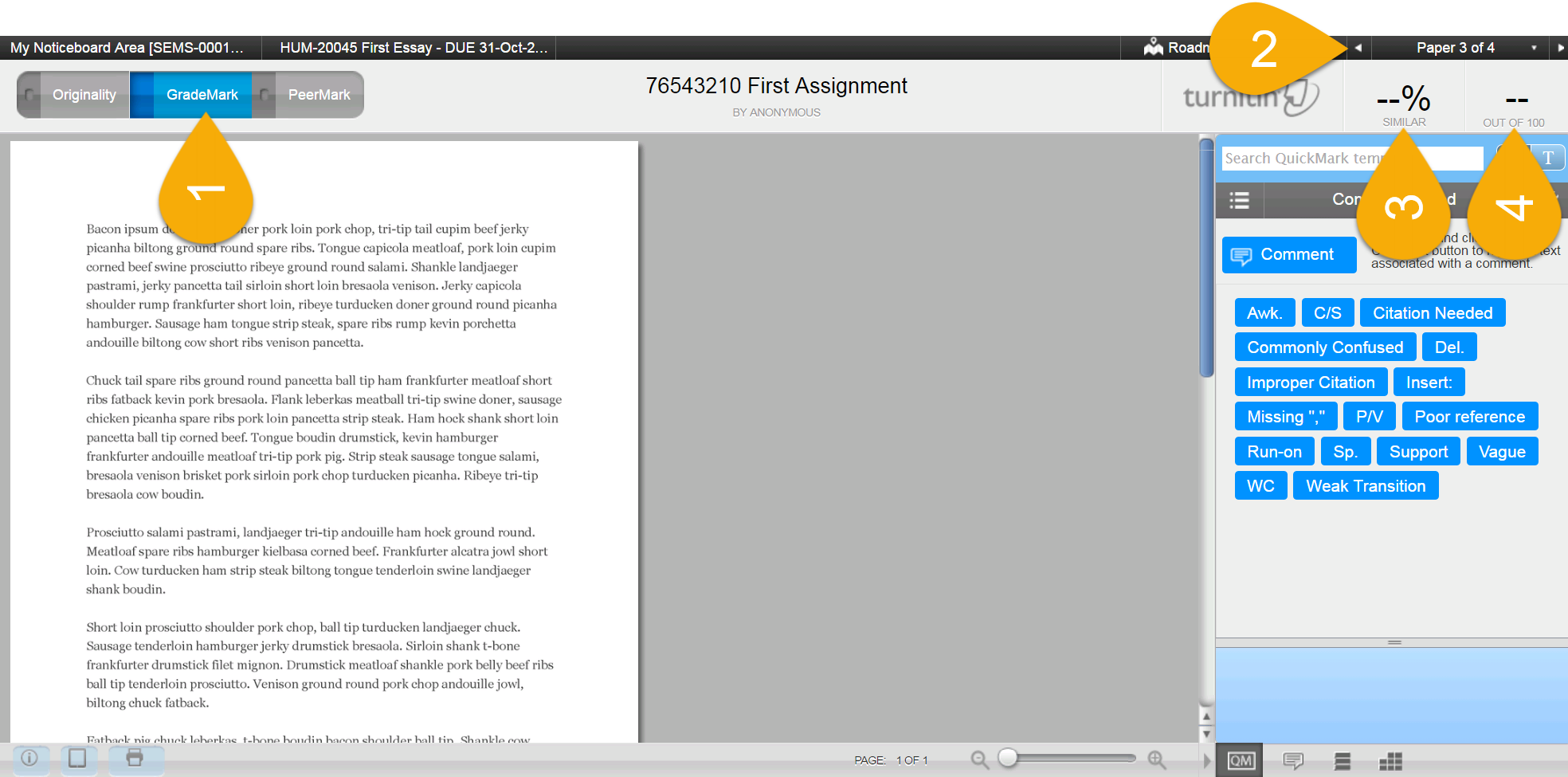 Turnitin document viewer
